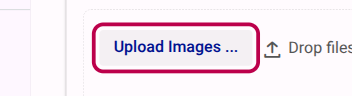 Upload Images button